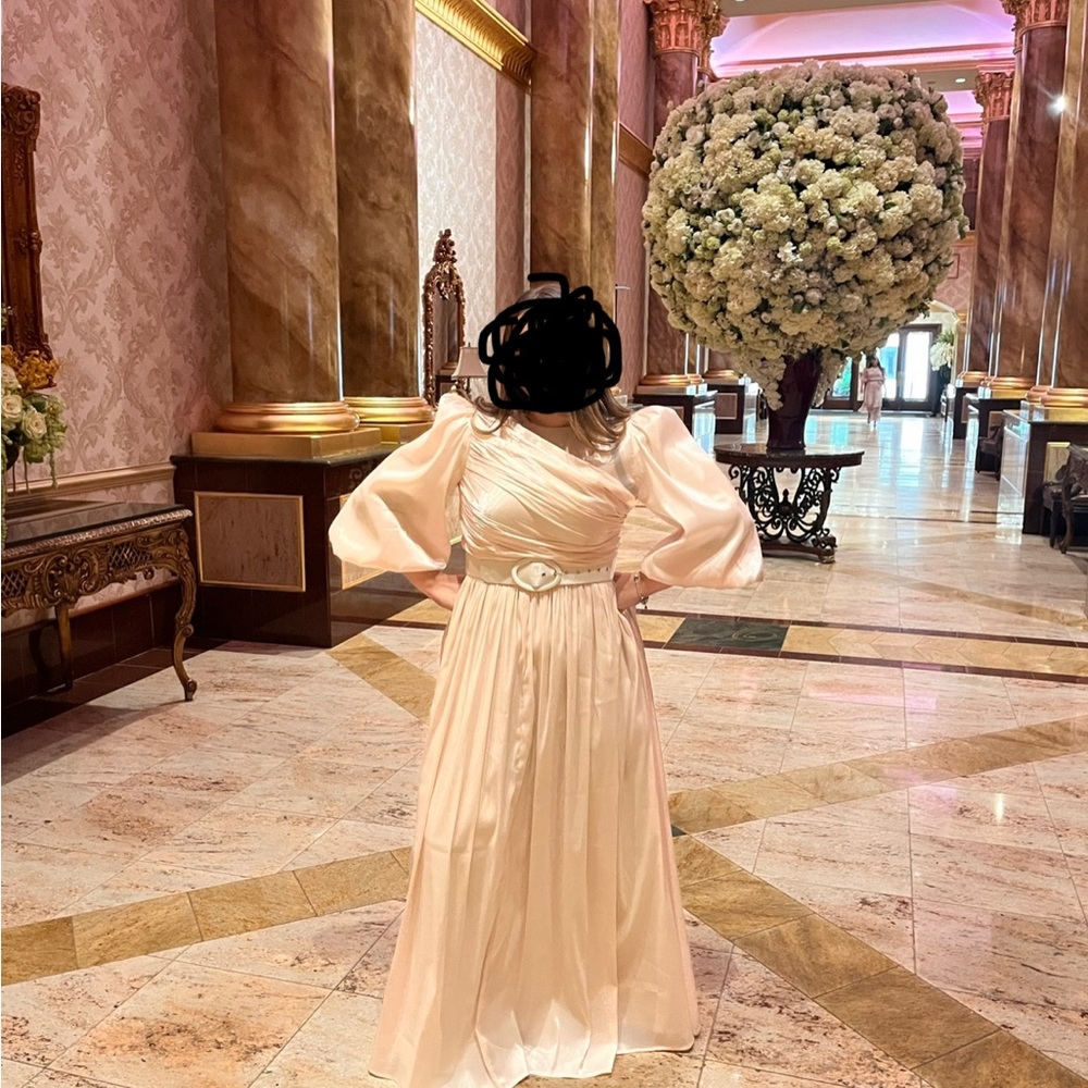 Elegant shimmery blush Gown with Belted Waist